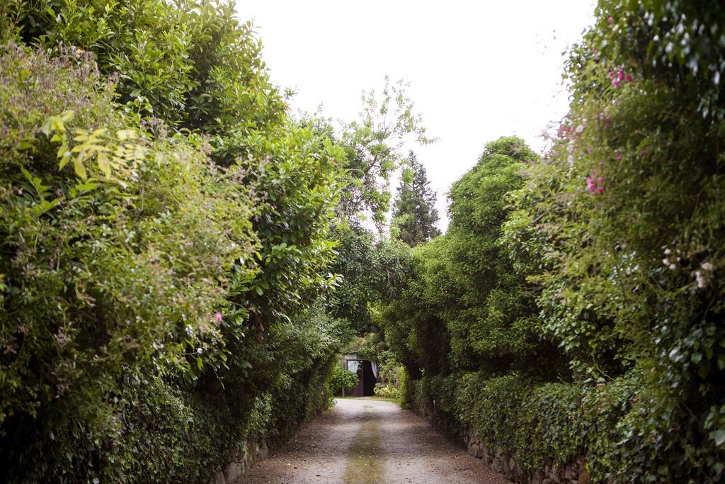 Гостевой дом Pazo De Bentraces (Adults Only) Toen Экстерьер фото